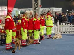 Haustiermesse Wien 2.03.2025